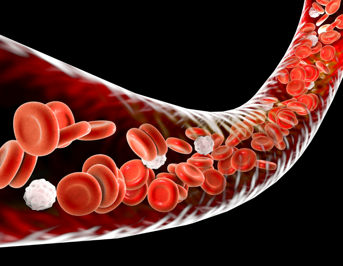 blood circulation