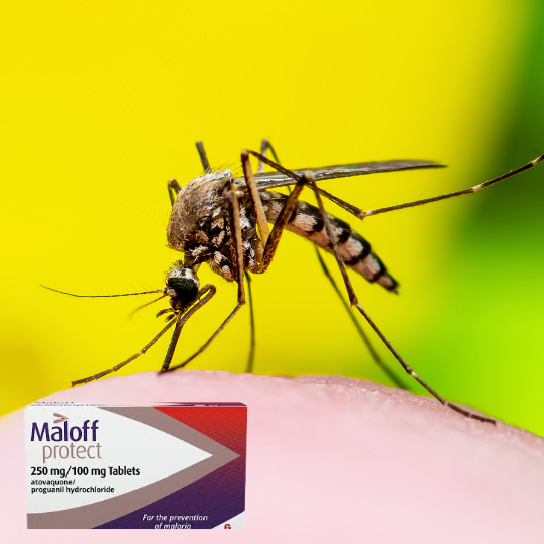 Maloff Protect - Anti malaria tablets